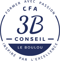 3B CONSEIL
